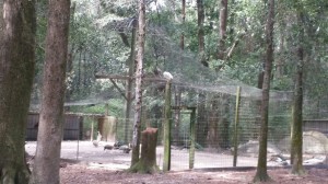 20160911 133034 resized (1)